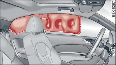 Head-protection airbags in inflated condition